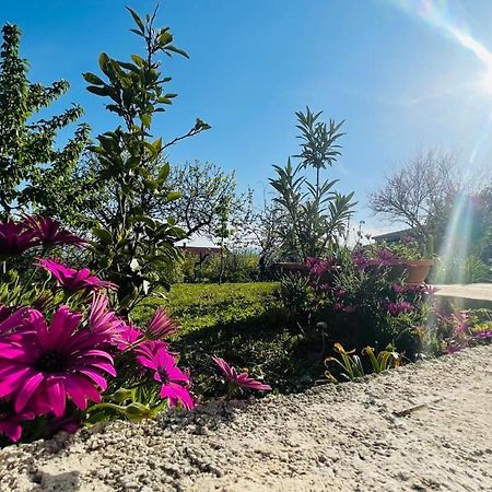 Apartment Iva Rijeka Ngoại thất bức ảnh