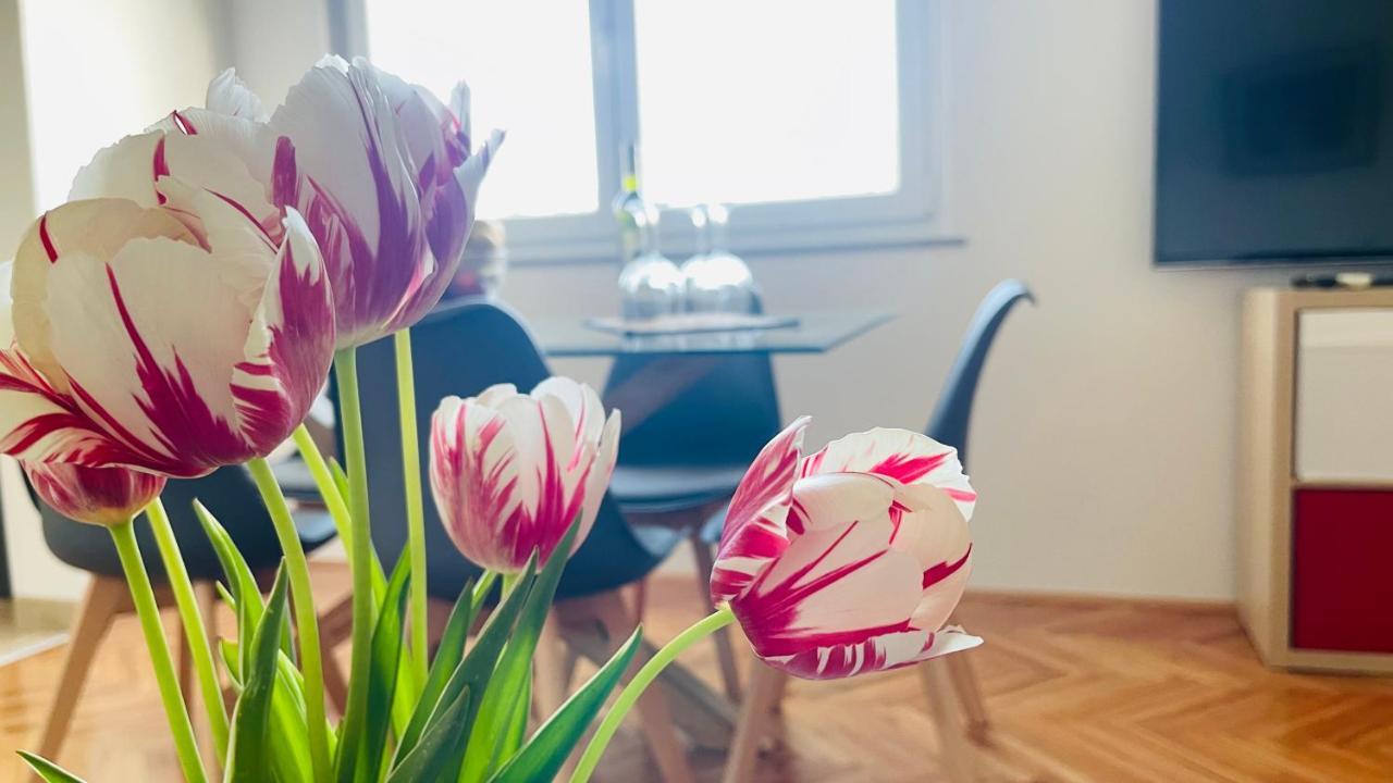 Apartment Iva Rijeka Ngoại thất bức ảnh